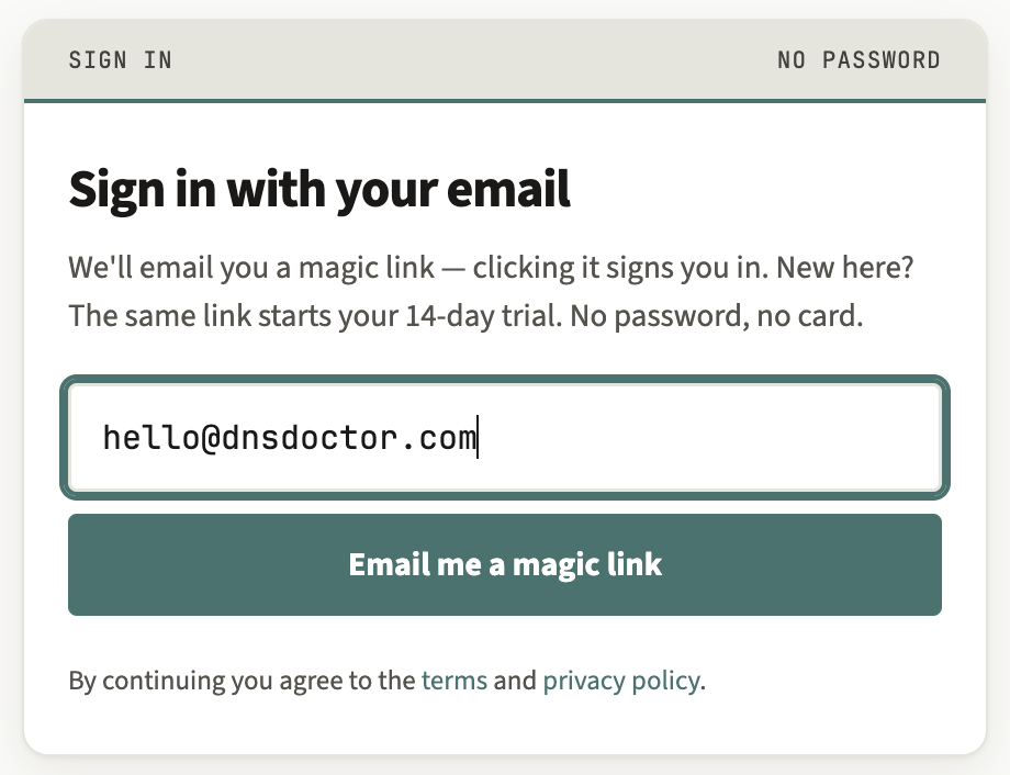 The DNS Doctor sign-in screen with a single email field and a 'Send magic link' button.